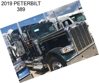 2019 PETERBILT 389