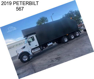 2019 PETERBILT 567