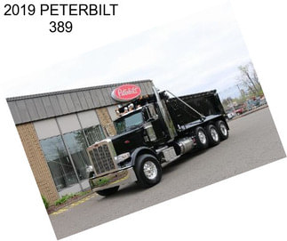 2019 PETERBILT 389