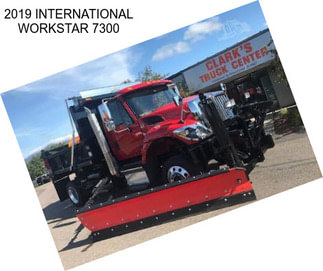 2019 INTERNATIONAL WORKSTAR 7300