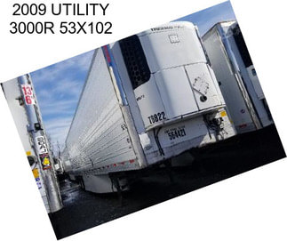 2009 UTILITY 3000R 53X102