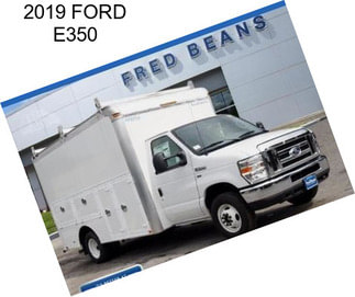 2019 FORD E350