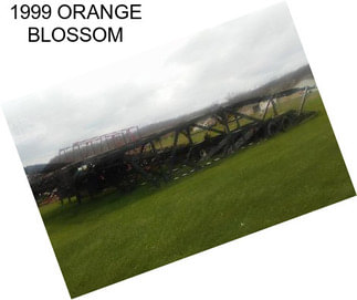 1999 ORANGE BLOSSOM