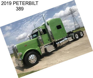 2019 PETERBILT 389