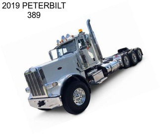 2019 PETERBILT 389