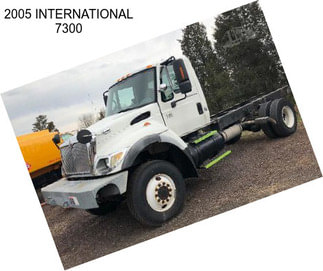 2005 INTERNATIONAL 7300