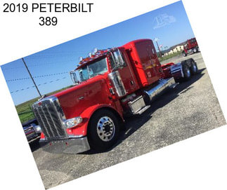 2019 PETERBILT 389