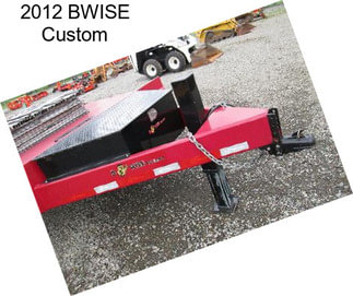 2012 BWISE Custom