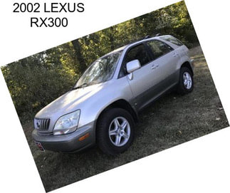 2002 LEXUS RX300