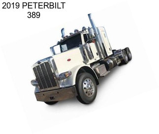 2019 PETERBILT 389