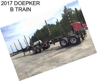 2017 DOEPKER B TRAIN