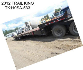 2012 TRAIL KING TK110SA-533