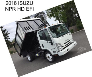 2018 ISUZU NPR HD EFI