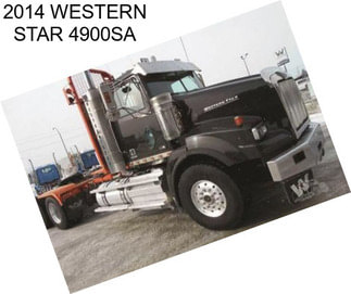 2014 WESTERN STAR 4900SA