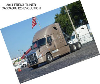 2014 FREIGHTLINER CASCADIA 125 EVOLUTION