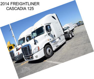 2014 FREIGHTLINER CASCADIA 125