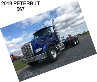 2019 PETERBILT 567