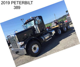 2019 PETERBILT 389