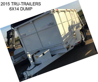 2015 TRU-TRAILERS 6X14 DUMP