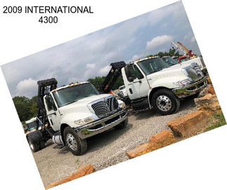 2009 INTERNATIONAL 4300