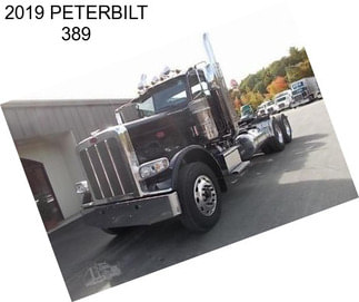 2019 PETERBILT 389