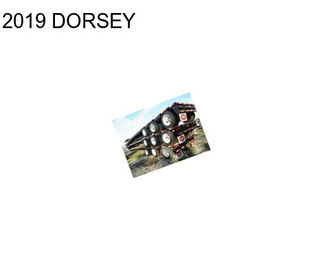 2019 DORSEY