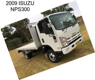 2009 ISUZU NPS300