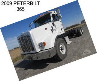 2009 PETERBILT 365