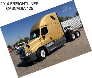 2014 FREIGHTLINER CASCADIA 125