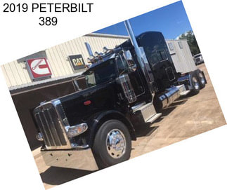 2019 PETERBILT 389