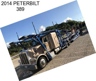 2014 PETERBILT 389