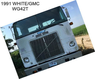 1991 WHITE/GMC WG42T