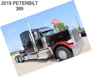 2019 PETERBILT 389