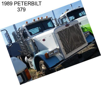 1989 PETERBILT 379