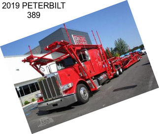 2019 PETERBILT 389