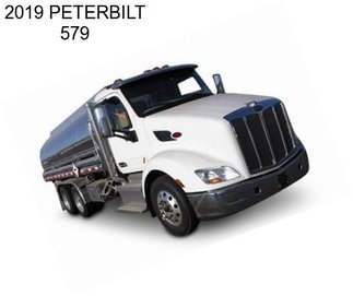 2019 PETERBILT 579