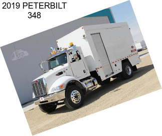 2019 PETERBILT 348