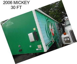 2006 MICKEY 30 FT