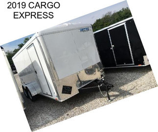 2019 CARGO EXPRESS