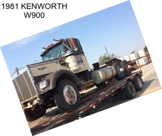 1981 KENWORTH W900