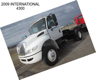 2009 INTERNATIONAL 4300