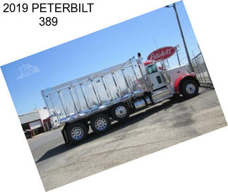 2019 PETERBILT 389