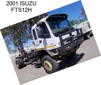 2001 ISUZU FTS12H