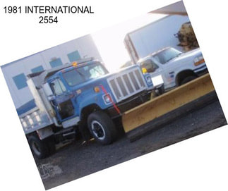 1981 INTERNATIONAL 2554