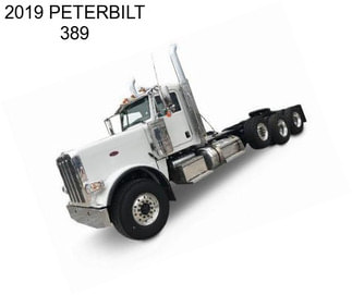 2019 PETERBILT 389