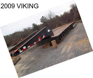 2009 VIKING