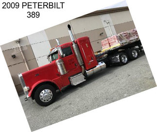 2009 PETERBILT 389