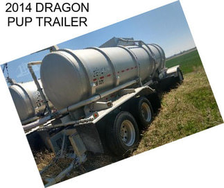 2014 DRAGON PUP TRAILER