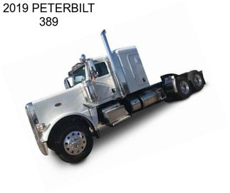 2019 PETERBILT 389