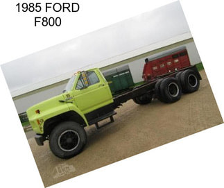 1985 FORD F800